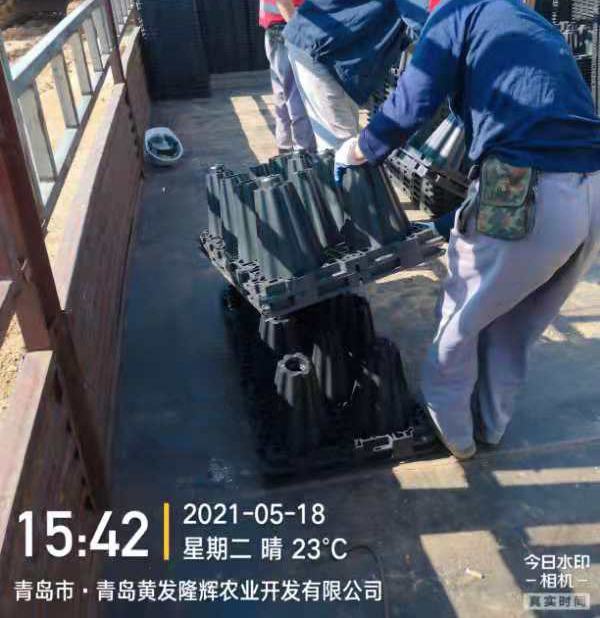 青島施工案例5月18日